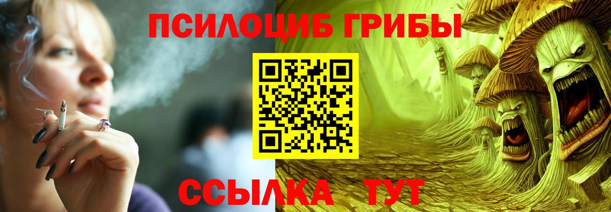 Галлюциногенные грибы Cubensis Севастополь