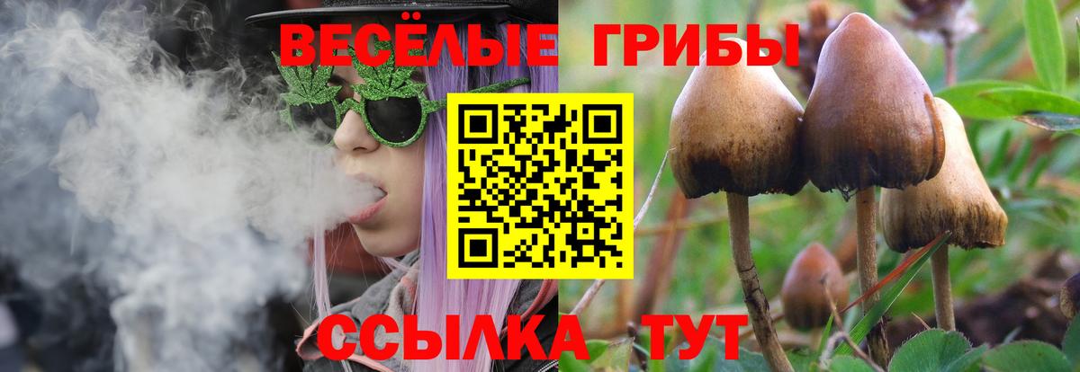 Псилоцибиновые грибы MAGIC MUSHROOMS  Вход с VPN  Псилоцибиновые грибы Magic Shrooms  Севастополь 
